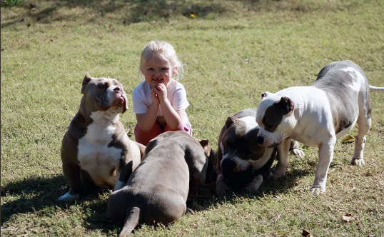 Lowbrow Bullies with family outdoors