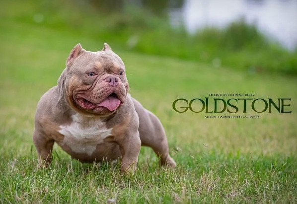 Goldstone